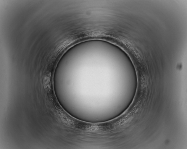 X0000100851265200806271127