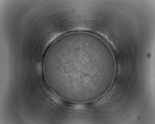 X0000100851266200806271127