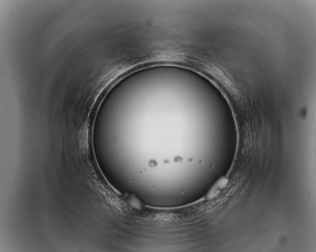 X0000100851268200806271127
