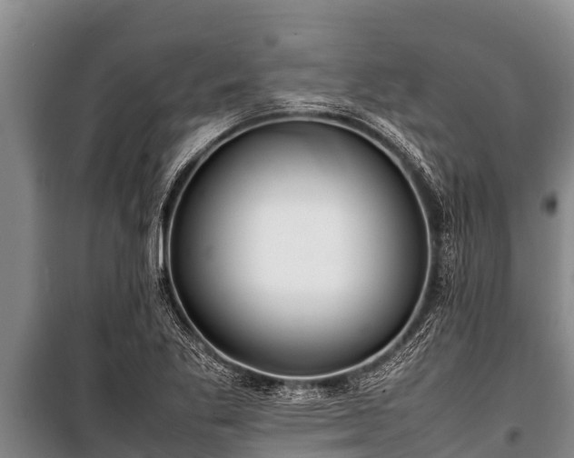 X0000100851269200806271127