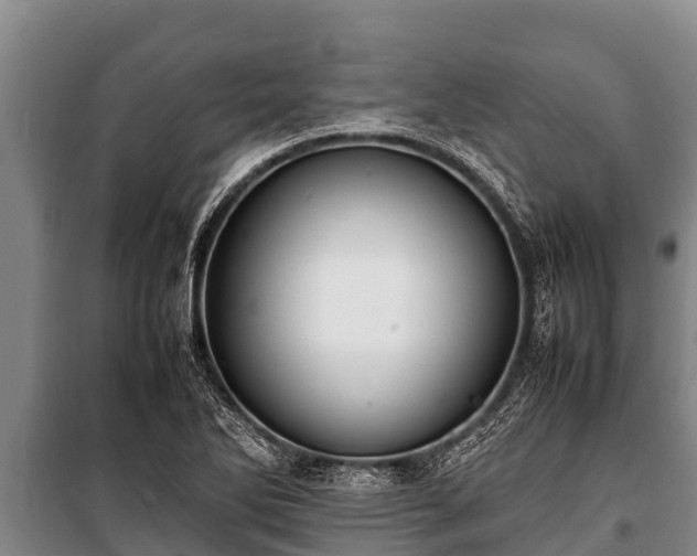 X0000100851270200806271127