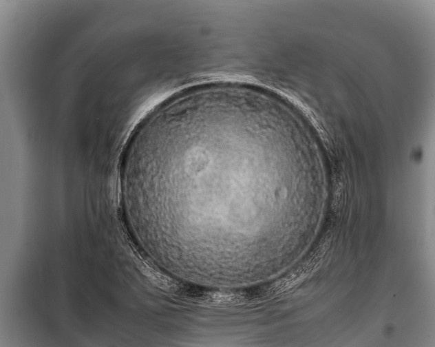 X0000100851271200806271127