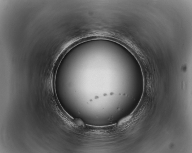 X0000100851272200806271127