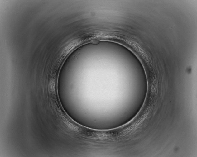 X0000100851273200806271127