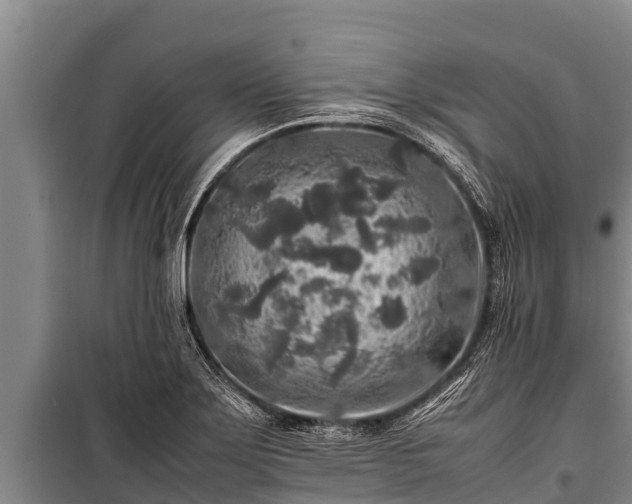 X0000100851275200806271127