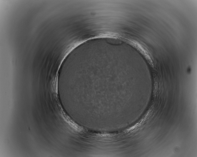 X0000100851276200806271127