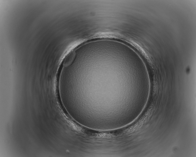 X0000100851277200806271127