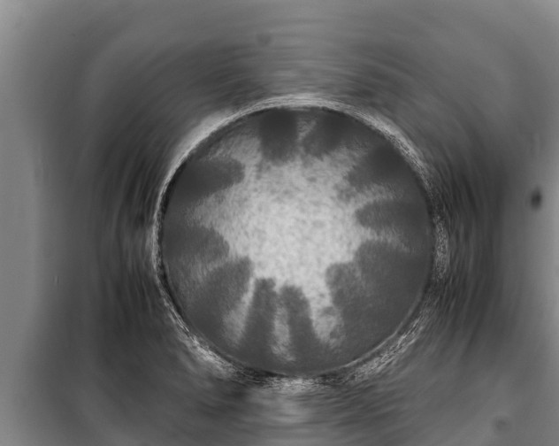 X0000100851278200806271127