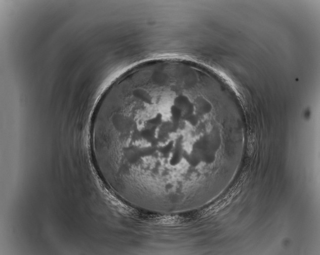 X0000100851279200806271127