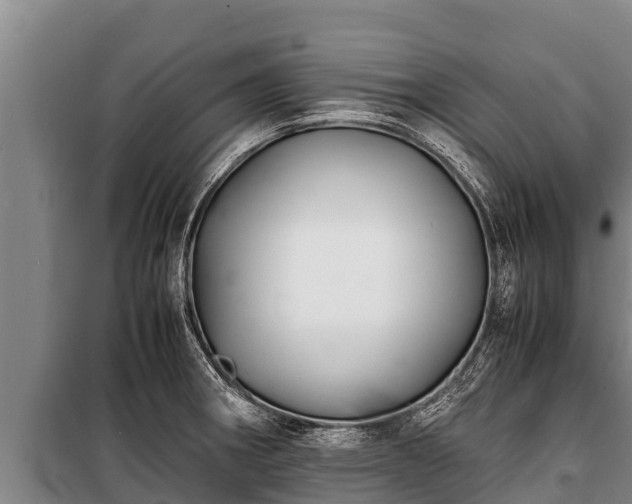 X0000100851282200806271127