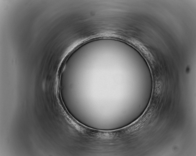 X0000100851286200806271127