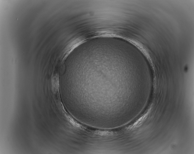 X0000100851289200806271127