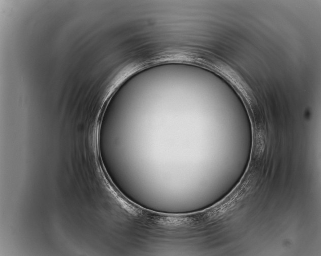 X0000100851290200806271127