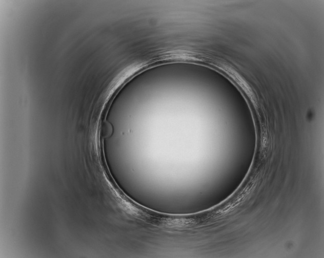 X0000100851293200806271127