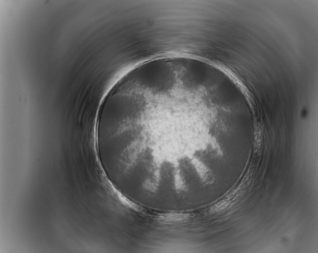 X0000100851294200806271127