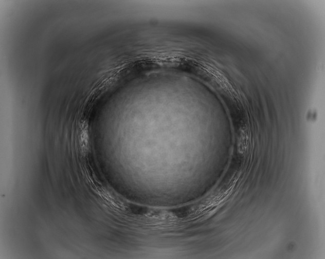 X0000100851298200806271126