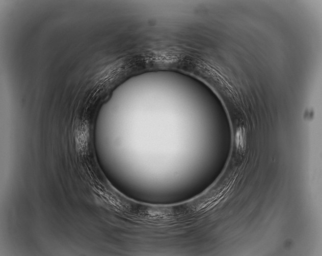 X0000100851299200806271126