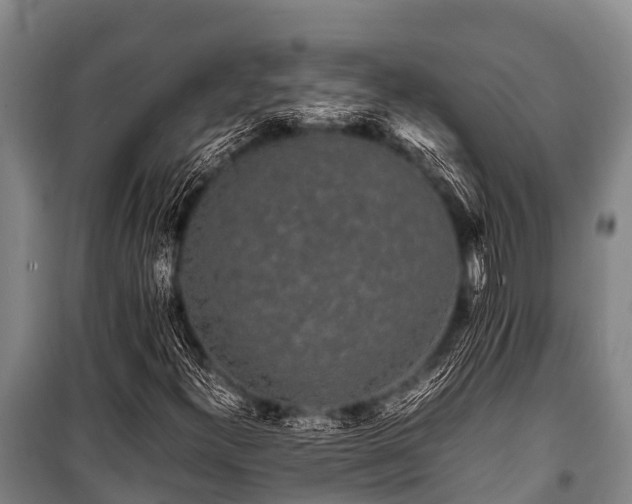 X0000100851300200806271126