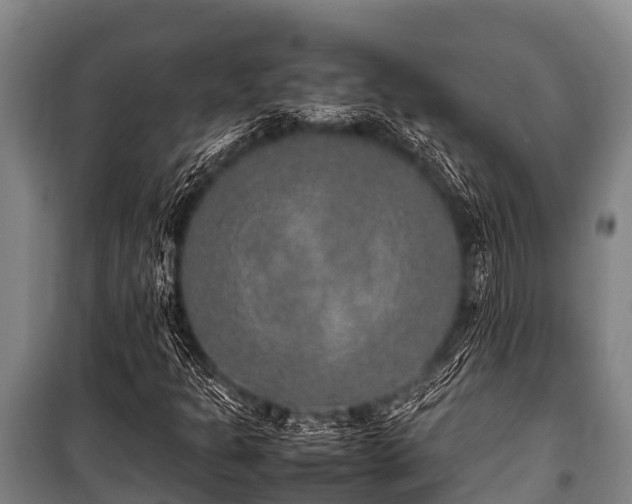 X0000100851301200806271126