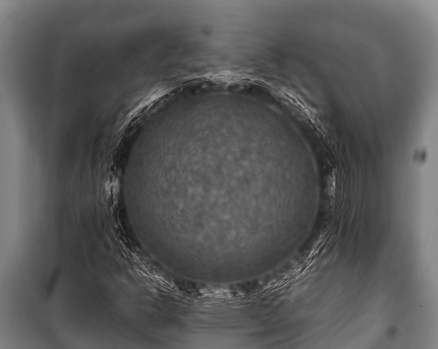 X0000100851302200806271126