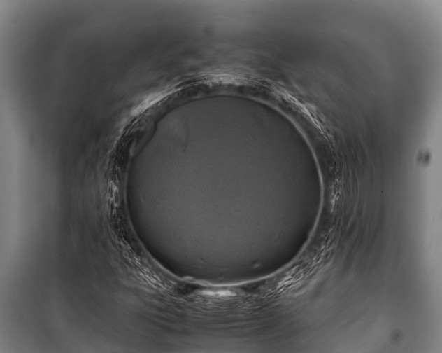 X0000100851303200806271126