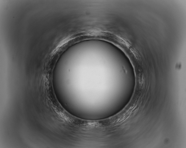 X0000100851304200806271126