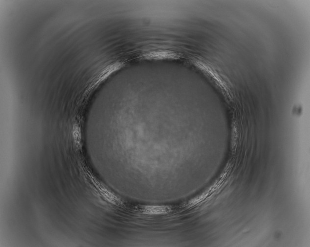 X0000100851305200806271126