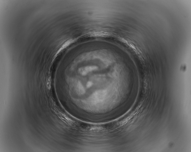 X0000100851306200806271126