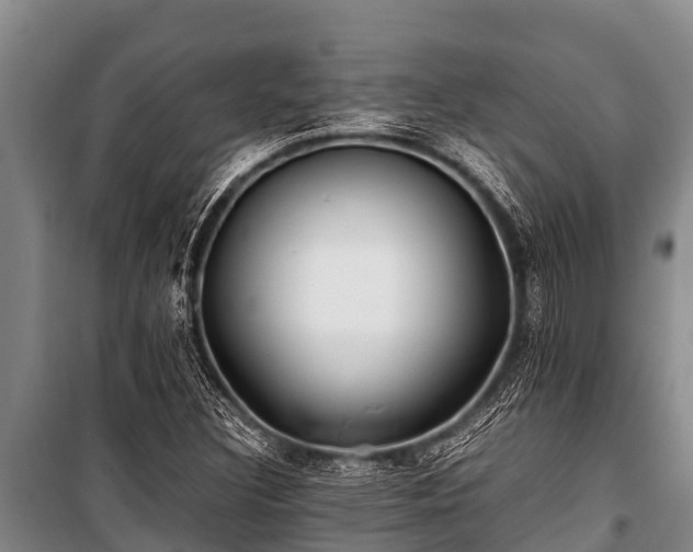 X0000100851308200806271126