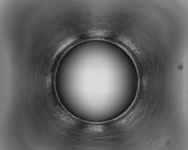 X0000100851309200806271126