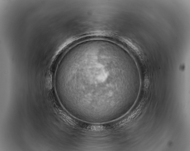 X0000100851310200806271126