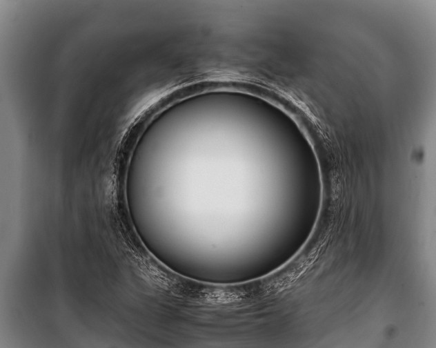 X0000100851311200806271126