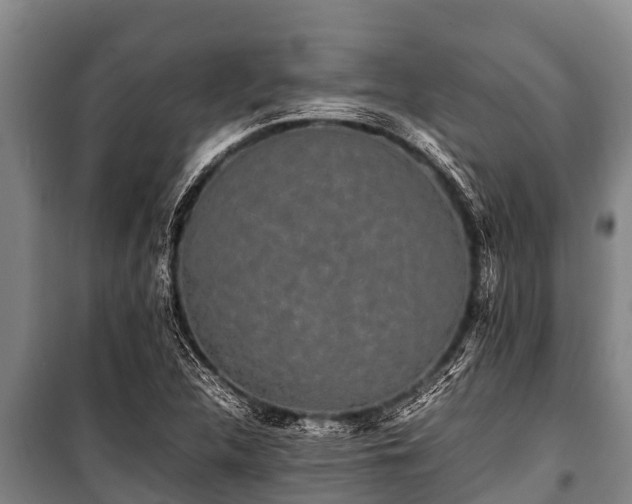 X0000100851312200806271126