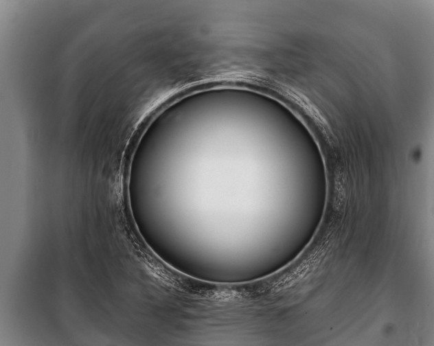 X0000100851316200806271127