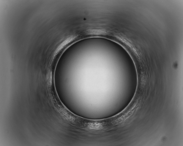 X0000100851317200806271127