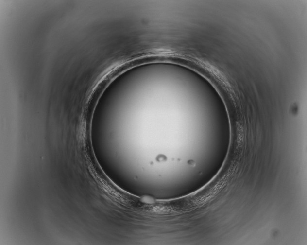 X0000100851318200806271127