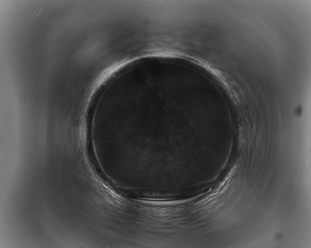 X0000100851319200806271127