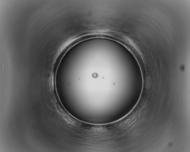 X0000100851320200806271127
