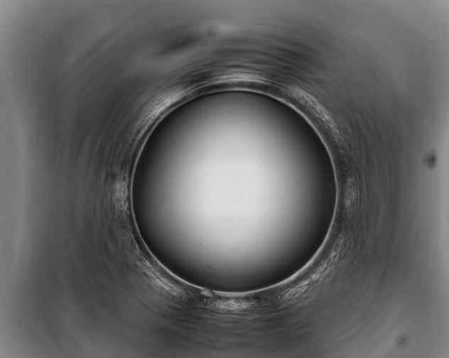X0000100851321200806271127