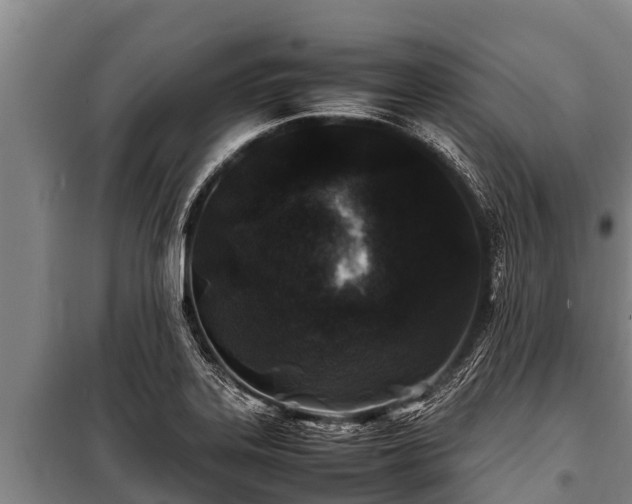 X0000100851323200806271127