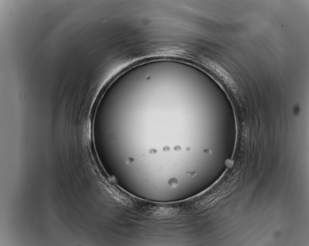 X0000100851324200806271127