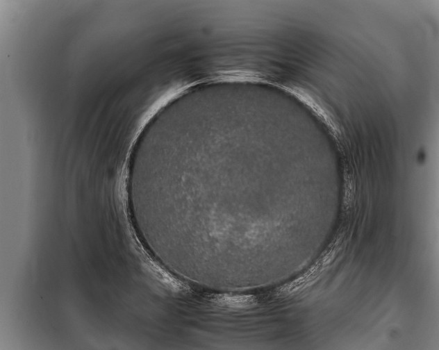X0000100851325200806271127