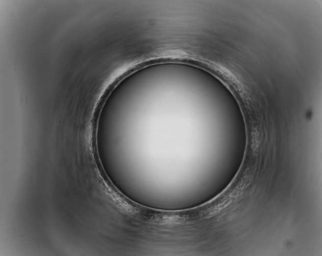X0000100851326200806271127