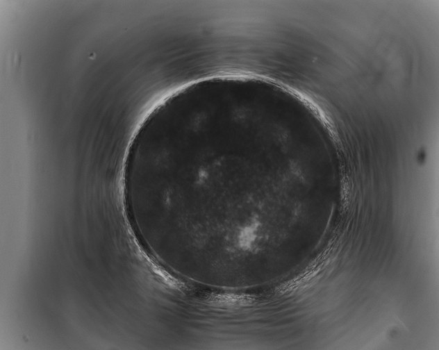 X0000100851327200806271127