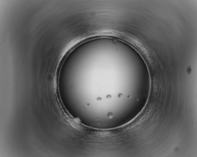 X0000100851328200806271127