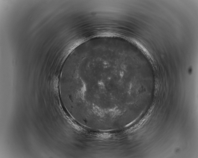 X0000100851329200806271127