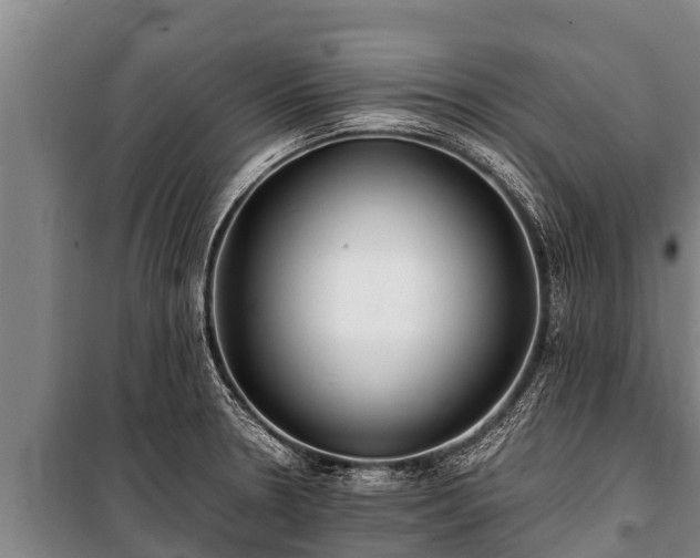 X0000100851330200806271127