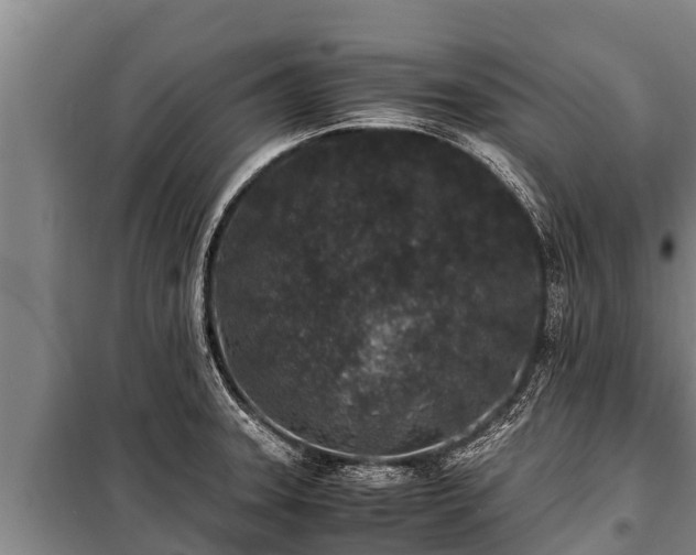 X0000100851331200806271127