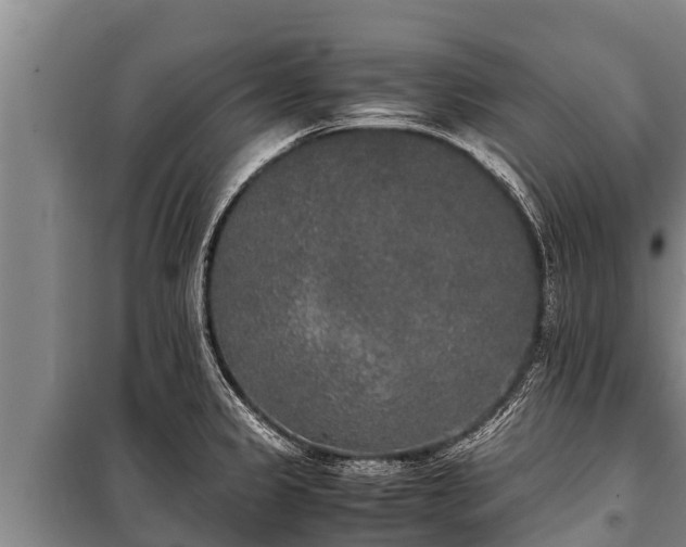 X0000100851333200806271127