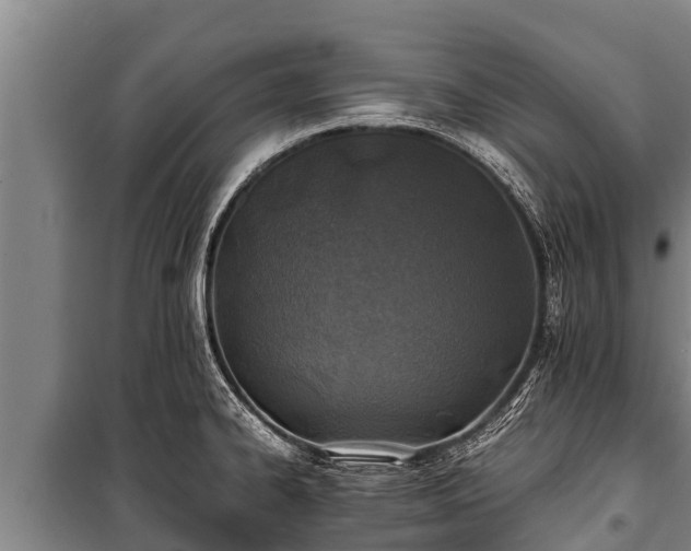 X0000100851334200806271127